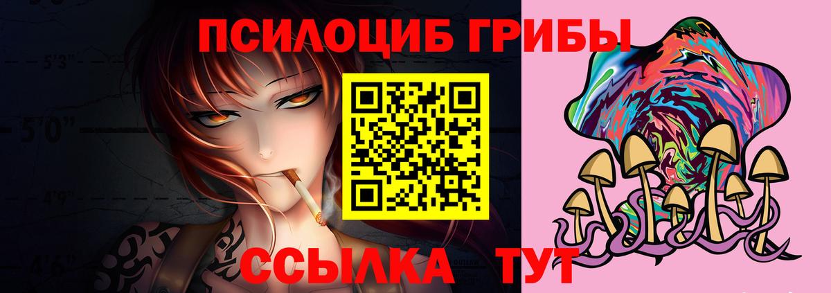Псилоцибиновые грибы Psilocybine cubensis Арсеньев